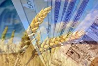 پرداخت ۸۸ درصد مطالبات گندمکاران در خراسان شمالی