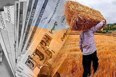 پرداخت ۹۲ درصد مطالبات گندمکاران خراسان رضوی