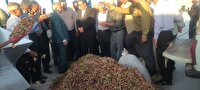 بهره برداری از سومین ترمینال فرآوری پسته در اسفراین