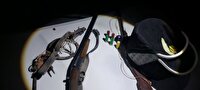 دستگیری دو نفر متخلف شکار و صید در مناطق آزاد شهرستان قائنات