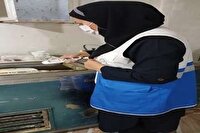 نظارت ۱۴۹ بازرس بهداشت محیط در ایام محرم و صفر ۱۴۰۴