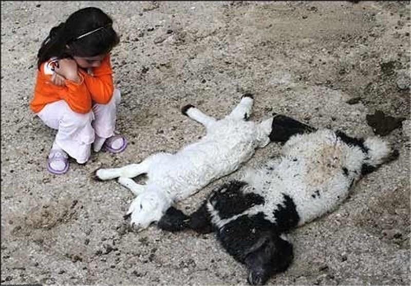 پیام خراسان