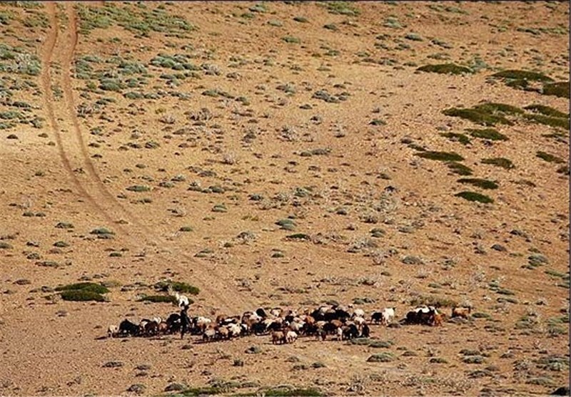 پیام خراسان
