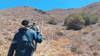 از حفظ جان تا آبرَسانی به حیات وحش با تلاش محیط بانان