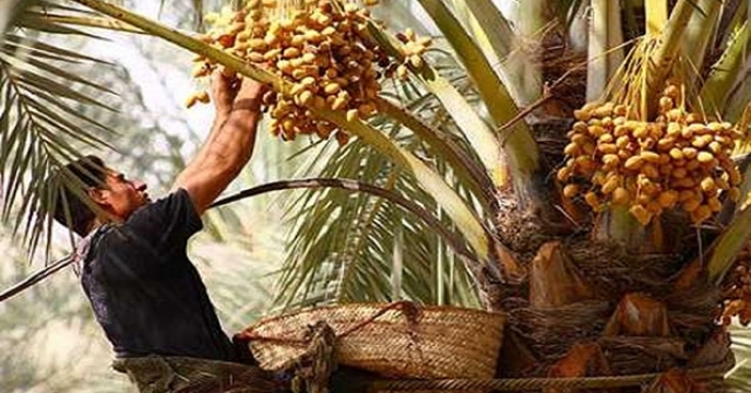 پیام خراسان