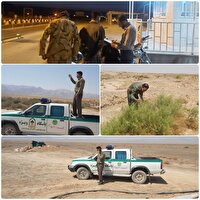 جلوگیری از برداشت غیرمجاز در مراتع بشرویه
