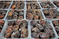 فعالیت ۹ واحد فرآوری و بسته‌بندی خرما در خراسان جنوبی