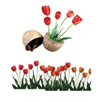 فراخوان عکاسی راهیان نور در خراسان جنوبی