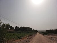 وزش باد و خیزش گردو غبار پدیده غالب جوی در خراسان شمالی