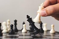 قهرمانی شطرنج باز بیرجندی در جام پلیکان طبس