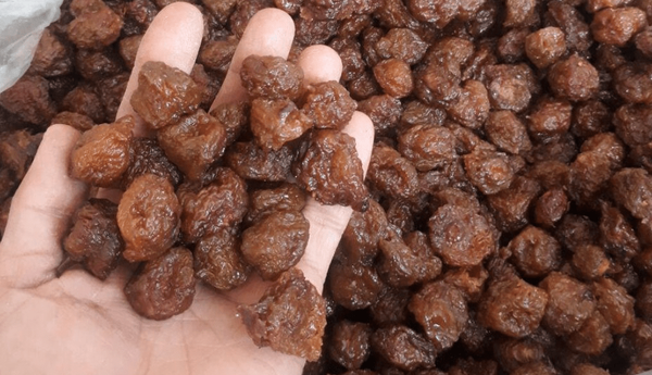 ضبط ۴ و نیم تُن آلوی غیربهداشتی در نیشابور
