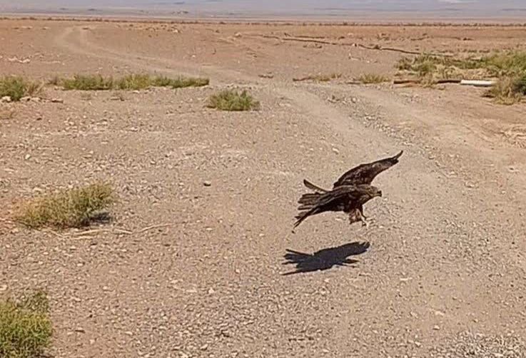 پیام خراسان