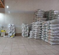 کشف انبار کالا‌های اساسی و لاستیک احتکار شده در بیرجند