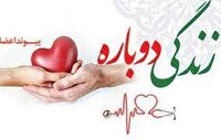جوان مرگ مغزی مشهدی، نجات بخش ۲ بیمار نیازمند عضو