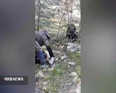 پاکسازی جنگل گلستان از زباله