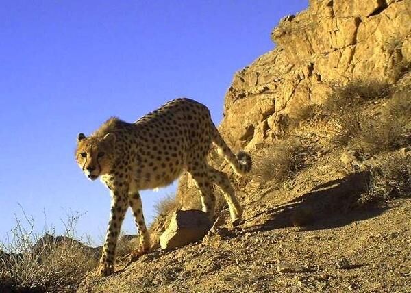پیام خراسان