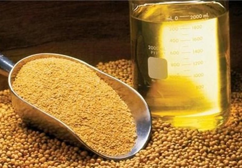 قیمت ارزی انواع غلات، روغن خام و دانه‌های روغنی اعلام شد