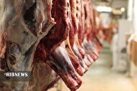 تولید ۲ هزار و ۹۱۰ تن گوشت قرمز در شیروان
