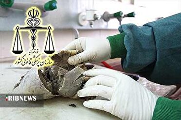 افزایش ۷ درصدی متوفیان ناشی از تصادف در خراسان شمالی