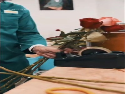 فیلم/ پشت‌صحنه گل‌آرایی ضریح امام رضا(ع)