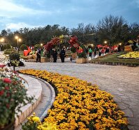 کاشت بیش از ۲۰۵ هزار گل برای جشنواره «طعم و رنگ پاییز» مشهد