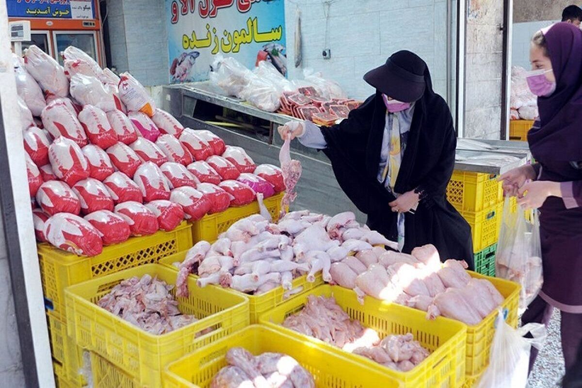 مرغ در مشهد ارزان‌تر شد؛ کاهش قیمت تخم‌مرغ و قطعات مرغ