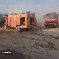 ۲۱ راس گاو در فاروج در آتش سوزی تلف شدند