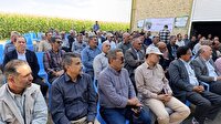 برگزاری روز «مزرعه ذرت علوفه ای» در جغتای