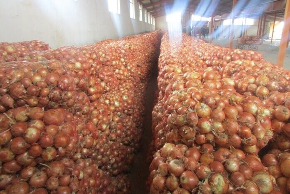 کشف انبار ۱۱۰۰ تُنی پیاز احتکارشده در مشهد