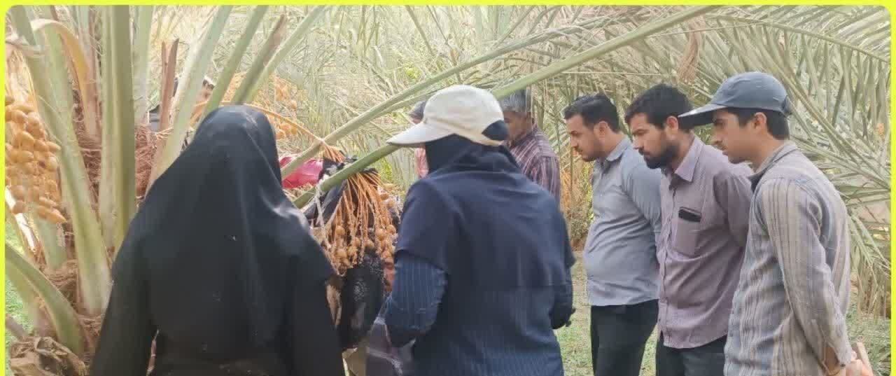 پیام خراسان