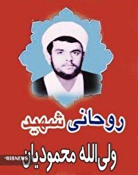 مرد میدان: شهید ولی الله محمودیان