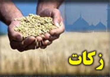 افزایش ۴۵ درصدی زکات در خراسان جنوبی