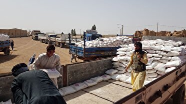 صادرات ۲۰ میلیون دلاری سیمان و کاشی و سرامیک از خراسان جنوبی