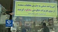 نانوایان و واحد‌های صنفیِ متخلف در خراسان جنوبی، زیر ذره بین بازرسان