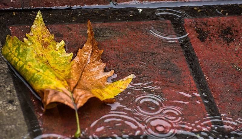 پیش‌بینی اولین باران پاییزی در خراسان رضوی