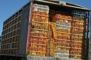 پیام خراسان