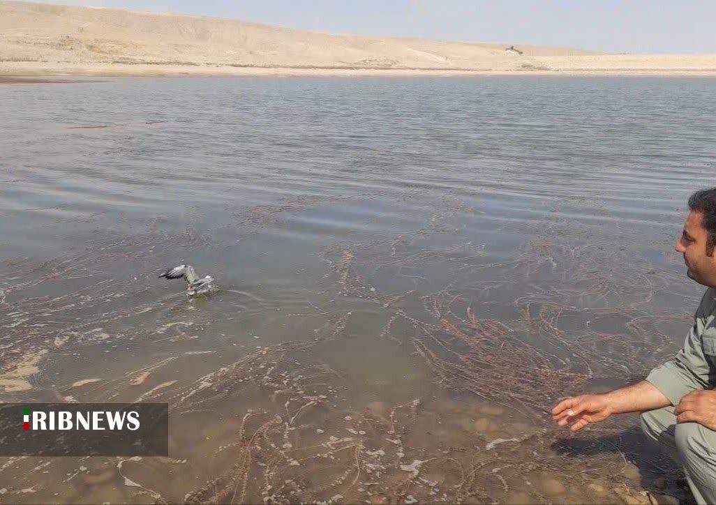 پیام خراسان