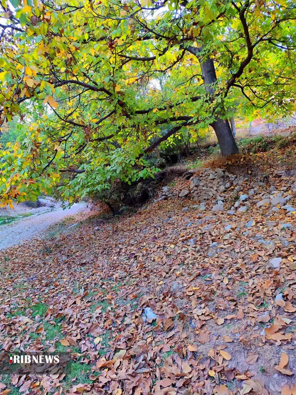 پیام خراسان