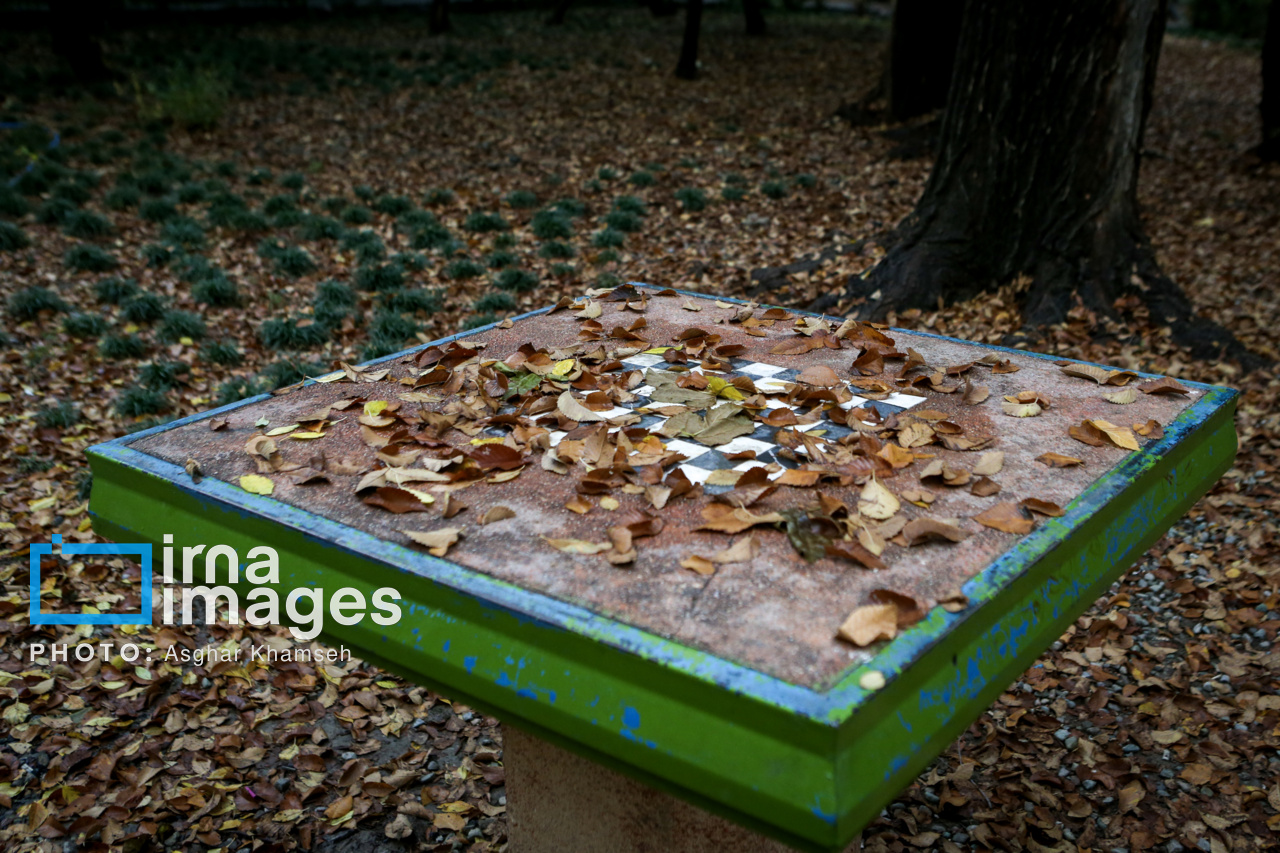 هفته‌ای سرد و بارانی در انتظار خراسان رضوی