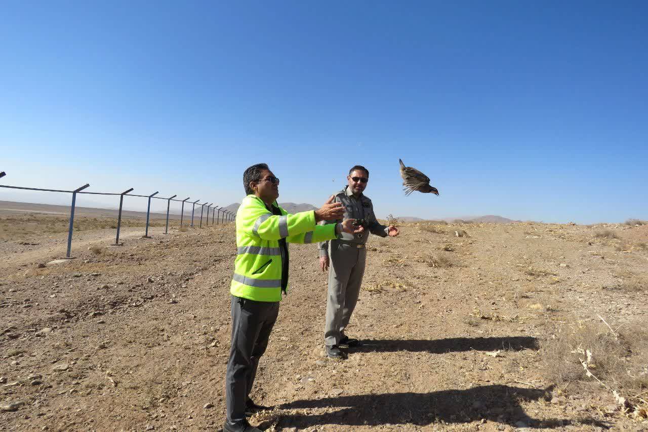 پیام خراسان