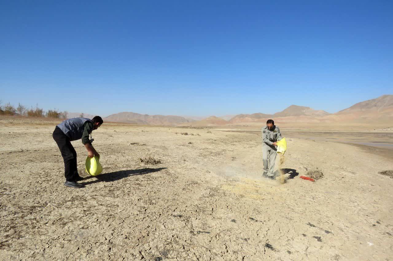 پیام خراسان