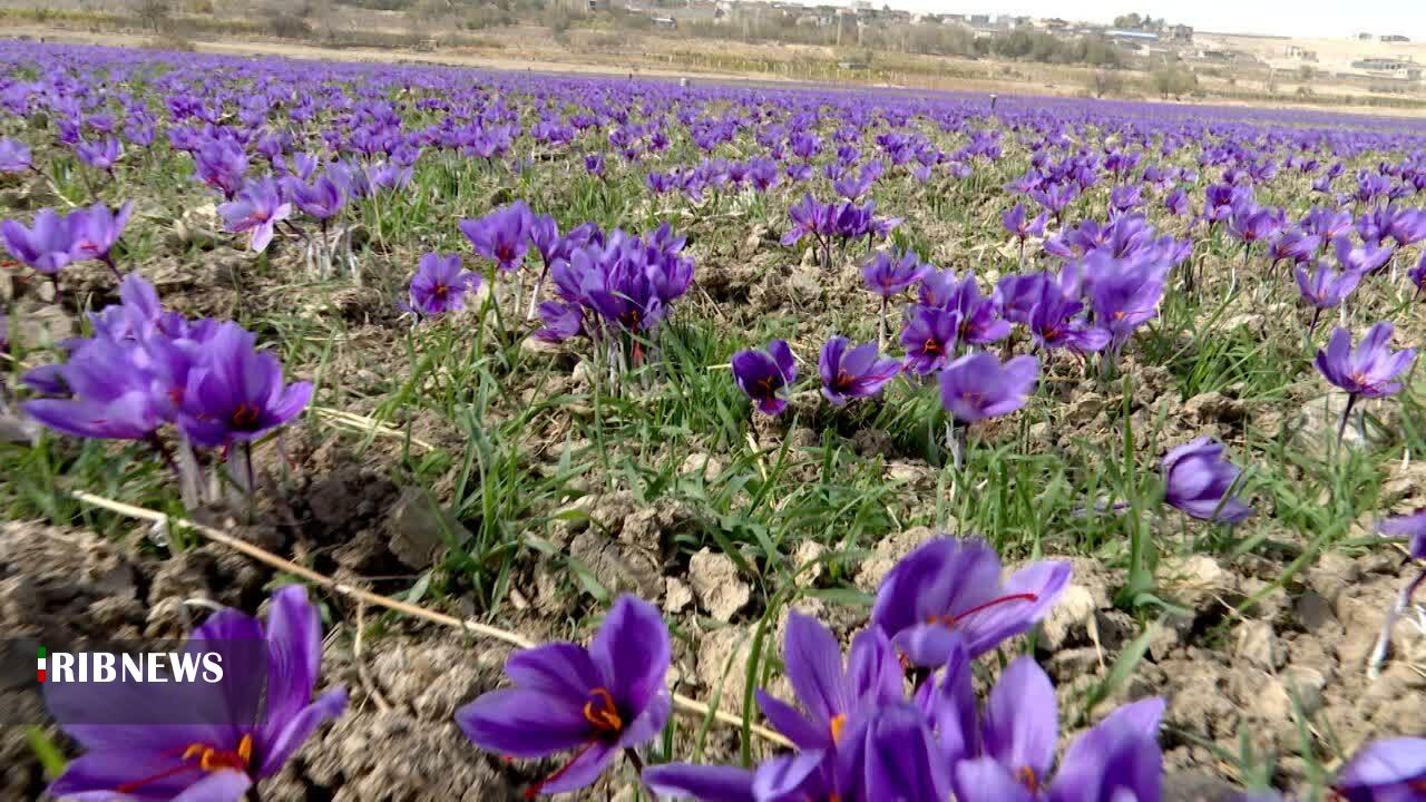 پیام خراسان