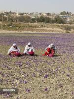 پیام خراسان