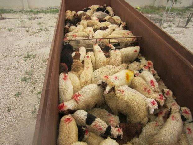 پیام خراسان