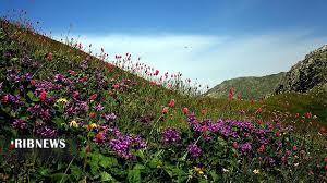 پیام خراسان