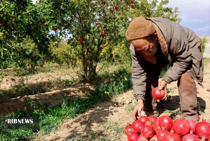 پیام خراسان