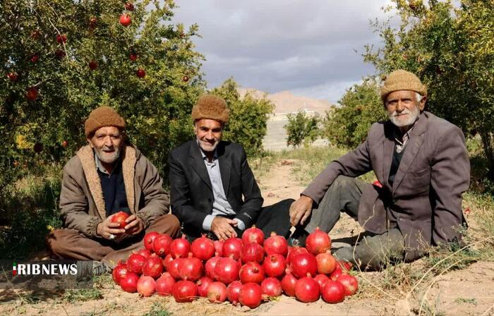 پیام خراسان