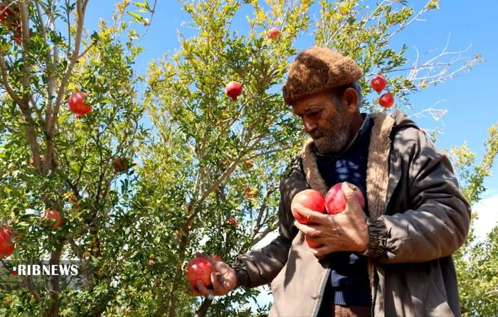 پیام خراسان