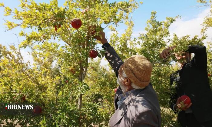 پیام خراسان