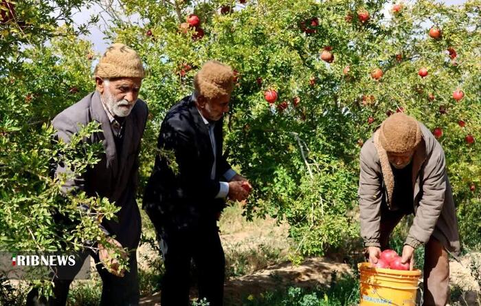 پیام خراسان